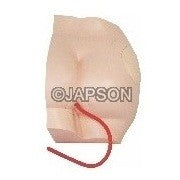 Buttock Injection Model Buttock Injection Model